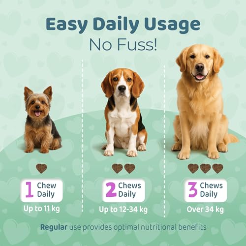 Hip and Joint Supplements for Dogs โ 120 Soft Dog Chews โ Natural Salmon Flavor Hip and Joint Chews for Dogs - Dog Treats for All Breeds & Sizes - Image 5