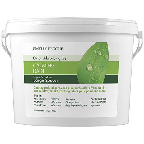 Find The Best Air Freshener For Garage Reviews & Comparison Katynel