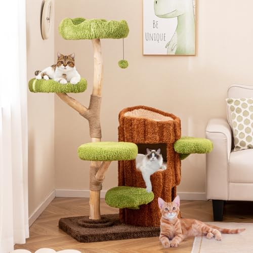 COSTWAY Kratzbaum Katzen, Katzenbaum mit zweistöckigem Katzenhöhle in Baumlochform, Massivholz, Katzenturm mit Jutesäule & Liegeflächen & Ball & Kratzbrett, Katzenkratzbaum, Braun+Grün (80×5-2