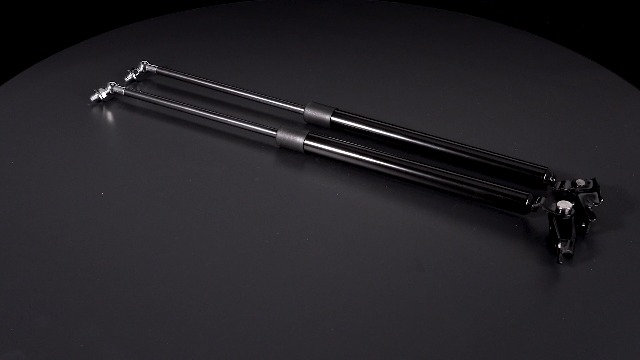 Amazon.com: Liftgate Tailgate Rear Door Lift Support Strut