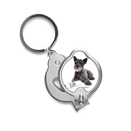 Coupe-ongles pour chien animaux domestiques DIYthinker et trimmer griffes précis