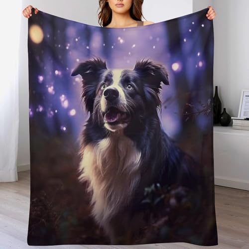Manta para sofá de Border Collie ideal para tardes de lectura en invierno 2