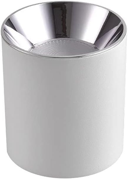 Spotlights，Modern Spotlight Surface Mounted Accent Spot Light, Gallery Picture Lighting, Kitchen Island Living Room Directional Spotlight Fixture Indoor White Aluminum Ceiling Lamp/3000K