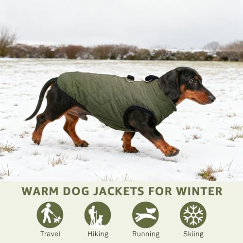 Image of SCENEREAL Dachshund Winter Dog Vest Coat with Harness Built in | Warm Puppy Jacket for Small Medium Dogs, Cold Weather Coat with Zipper, Fleece Puffer Vest Windproof Snow Clothes