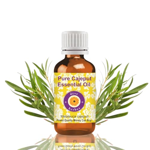 Deve Herbes puro Olio essenziale di cajeput (Melaleuca Cajeputi) distillato a vapore 30ml (1 oz)