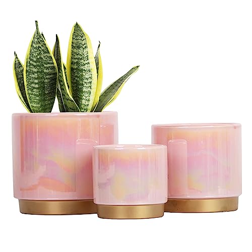 Gepege Pink Indoor Plant Pots for Plants, Ceramic Planter with Drainage Hole, 6.0 inch+5.0 Inch+4.0 Inch. Succulent Orchid Flower Pot – Rainbow Pearl Glaze