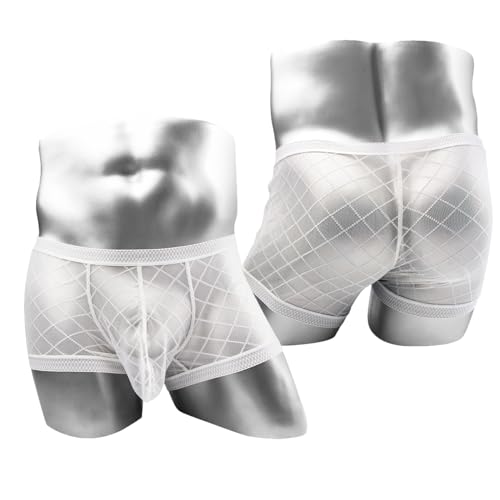 Men's Mesh Lace Boxer Briefs Sexy See Through Underwear Breathable Thin Bulge Pouch2