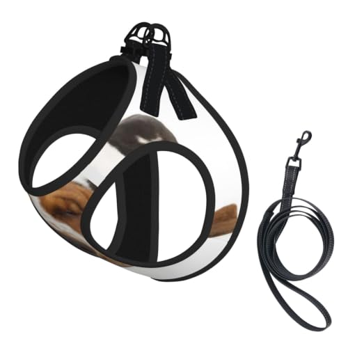Schlafender Basset Hound Netter Tierhund Small Pet Harness,