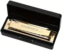 Esta gaita de 10 furos é perfeita para iniciantes. O instrumento é pequeno em tamanho, mas requintado, e é muito divertido de tocar. (ouro)