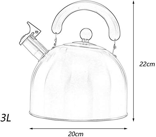 Bouilloire en acier inoxydable de 3L avec sifflet intégré