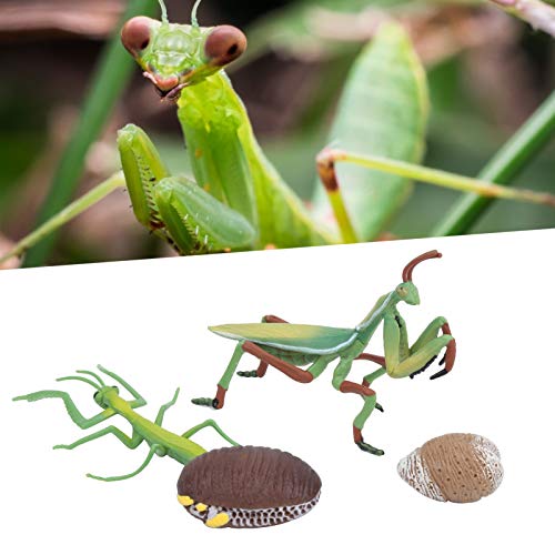 Brinquedos de cognição, brinquedo de ciclo de crescimento de imaginação de criatividade para meninos