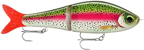 SUPER SHADOW RAP GLIDE 11 RTL avec Screw Diver System interchangeable - 2
