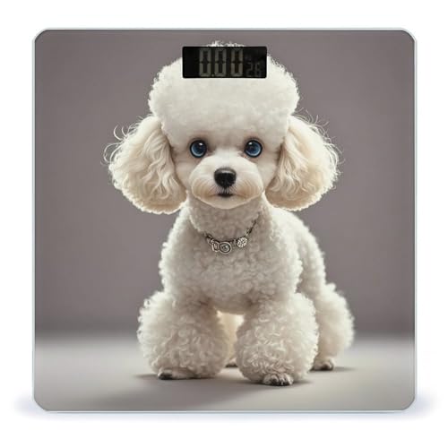 Poodle Báscula Digital para Baño Precisa y Moderna miniatura 1