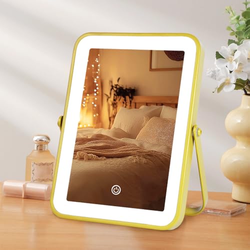 YEKKOPT Gold Rechargeable Makeup Mirror Lights, LED Vanity