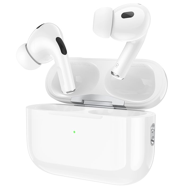 HOCO EW50 Earbuds and Charging Case