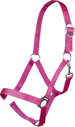 HKM 4000315715794 Halfter -Stars Economy Softice-3900 Pinkpony