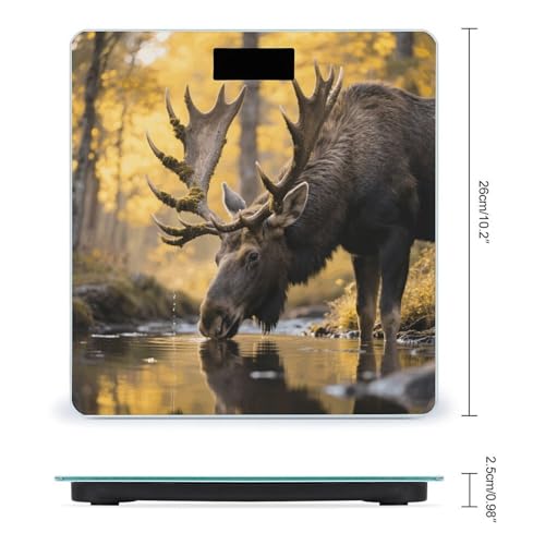 Báscula digital de baño vidrio templado con pantalla LCD miniatura 2