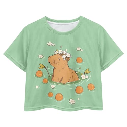 Image of Girls Crop Tees Crew Neck Casual Short Sleeve T Shirts Kids Loose Soft Comfortable Tees Blouses Shirt for Little Girl