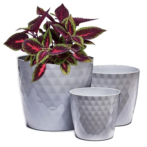 Home Garden Ornaments Maceta Gris Juego de 3 Tamaños 14/16/18 cm - Macetas Plastico con Superficie de Cristal Brillante - Maceteros Exterior - Decorativa Macetero Interior (Gris)