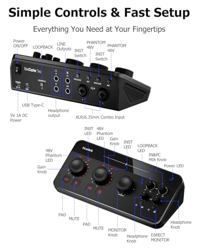 Professional Home Recording Interface