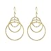 Lifetime Jewelry Triple Hoop Earrings, 24K Gold Over Semi-Precious Metals, Safe for Most Ears, Sparkly, Light and Easy to Wear, Guaranteed for Life, 2 Inches Long, 1.25 Inches Diameter,