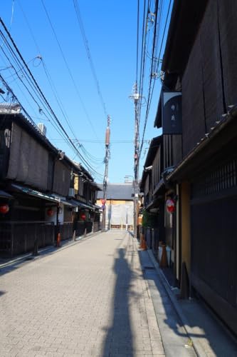 y{̕i|XgJ[hzs _ ԌH̉ iq˂ƐԒ񓔂̒ photo by MIRO