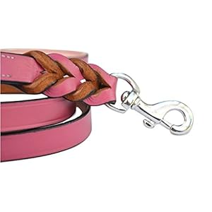   Raspberry-Pink-Leather-Braided-Dog-Leash-6-Foot-x-34-inch-Walking-or-Training-Lead-for-Large-and-Medium-Size-Dogs