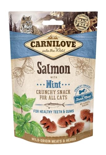 Carnilove Feline Crunchy Snack Salmon Menta Caja 10X50Gr 500 g