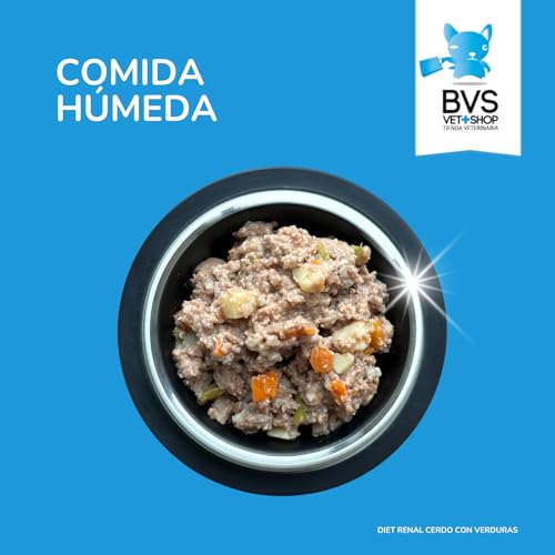 BVS Vet Shop | Diet Renal Schwein mit Gemüse Dose für Hunde | Geeignet zur Unterstützung der Nierenfunktion mit Lachsöl und Präbiotika | 6 Stück x 400 g