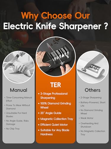 Professional Electric Knife Sharpener