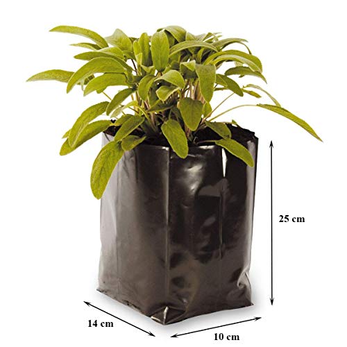 Image of Agritech Black Nursery Cover /Plant Grow Bag - 250 Nos (8x12, 250)