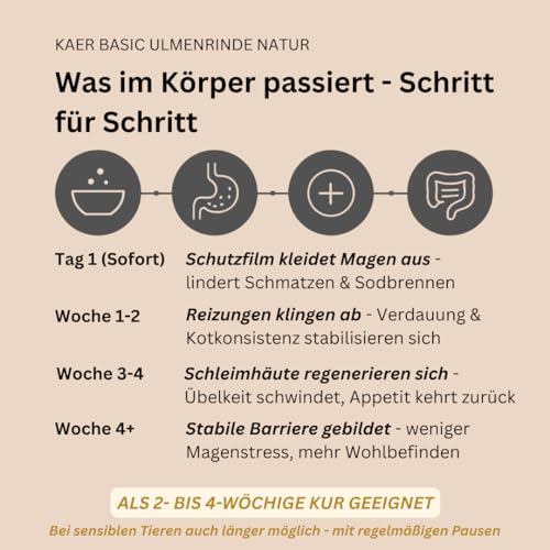 kaer basic Amerikanische Ulmenrinde für Hunde & Katzen 100g – Slippery Elm Bark Pulver – Ohne Aufkochen & Sofort löslich… – Ansicht 5