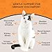 Animal Essentials Tinkle Tonic - Dog & Cat Urinary Tract Support, Kidney Supplement, Supports Urinary Tract, Bladder Health for Pets, with Marshmallow - 2 fl oz