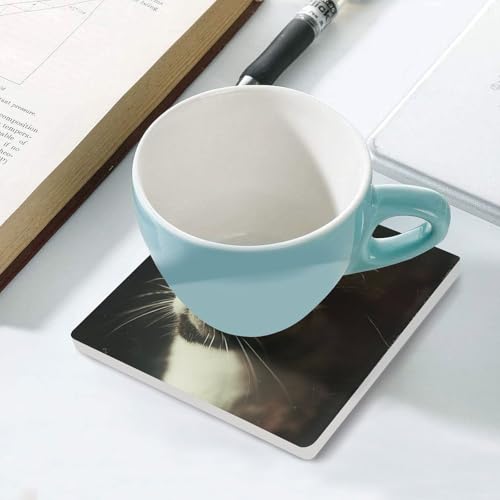 Dessous de verre chat lot de 6 céramique carrés pour table
