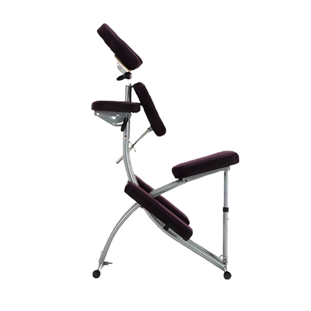 Sloan Silla de Masaje Profesional Plegable y Portátil Ajustable con Bolsa de Transporte Soporta 120 kg Tapizado Resistente Agua y Aceite Ideal Fisioterapia SPA Tatuajes
