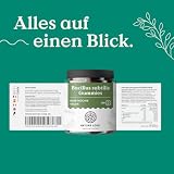 NATURE LOVE Bacillus Subtilis Gummies - 100 Stück - 3Mrd. KbE 96,5% Frucht