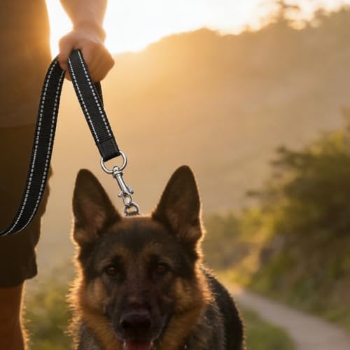 Padded Handle Dog Lead, Double-Sided Reflective Nylon Leads for Training, Walking Leash for Small, Medium Dogs (Red,120 * 2.0cm) - 2