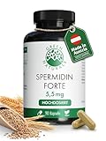 Green Naturals® Spermidin Forte 5,5 mg – Hochdosiert aus Premium Weizenkeimextrakt – Natürlich & ohne Zusatzstoffe – 90 vegane Kapseln (3-Monatsvorrat)