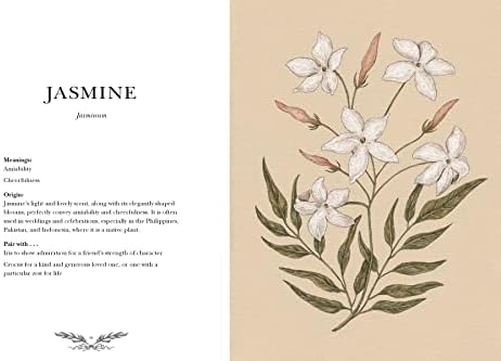 Floriography: An Illustrated Guide to the Victorian Language of Flowers: 1