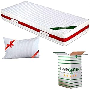 EVERGREENWEB Materasso Singolo 80×190 in Memory Foam & Waterfoam Ortopedico Alto 22 cm con Cuscino Letto Gratis Lastra Massaggiante, Rivestimento Bianco SFODERABILE per Reti e Letti