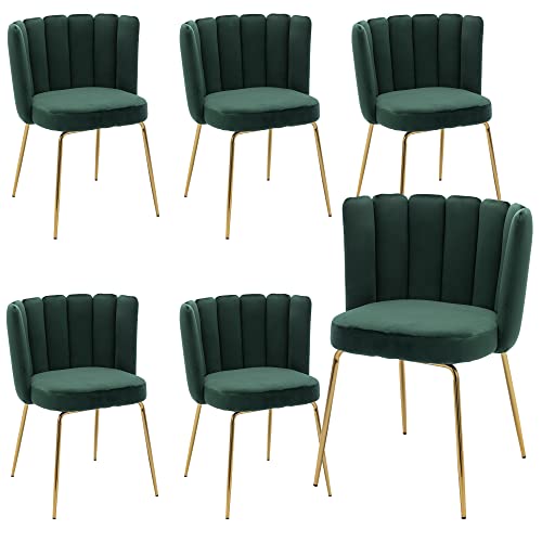 Velvet Barrel Dining Chairs Set of 2 Modern Accent Chairs Upholstered Host Side Chairs with Gold Metal Legs for Home Kitchen Living Room, Rose