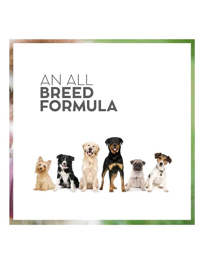 Image of Vet Prō Renal Dry Dog Food 3KG Supports Optimal Renal Health and Improves Kidney Function