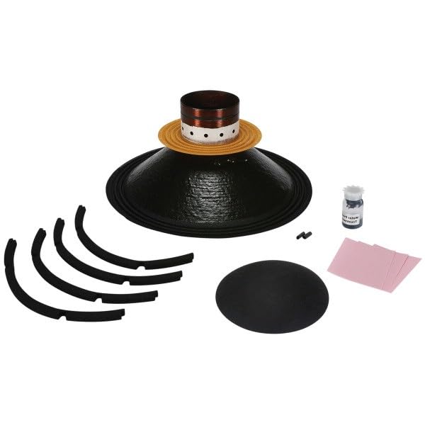 B&C Speakers R12PLB76 Recone Kit for 12PLB76 12 Replacement Woofer RCK12PLB768