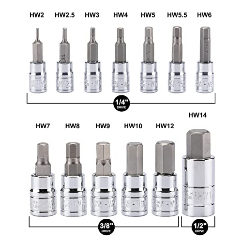 Image of 13PCS Metric Hex Bit Socket Set, CR-V Allen Bit Socket Kit, S2 Steel, 2mm - 14mm, 1 /4 inch, 3 /8 inch & 1 /2 inch Drive