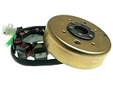 2EXTREME Lichtmaschine für BAOTIAN BT49QT-21, BT49QT-22, BT49QT-2, BT49QT-3