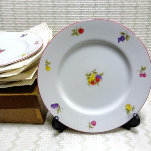 g AdamEve WfBP[LM 5Zbg ʕ