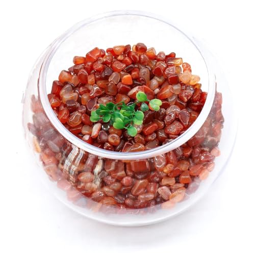 Image of WAYBER Natural Tumbled Agate Quartz Decorative Crystal Pebbles, 1 Lb Red | Lustrous Polished Finish, Rich Long-Lasting Hues, Toxin-Free Material, Perfect for DIY Crafts & Home Decor