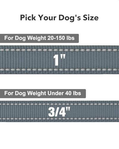 Taglory Hundeleine Mittelgroße Große Hunde Leicht | Doppelseitig Reflektierend | Gepolsterter Griff | Unterstützung 10 bis 75 kg | 1.8m x 2.5cm | Grau
