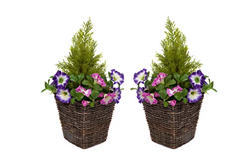 GreenBrokers Artificial Rattan Patio Planters with Pink & Purple Petunias & Cedar Topiary (Set of 2)