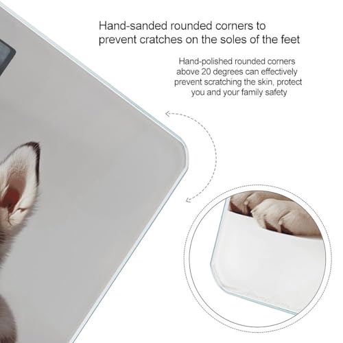 Báscula Digital para Peso Corporal con Diseño de Perro miniatura 4
